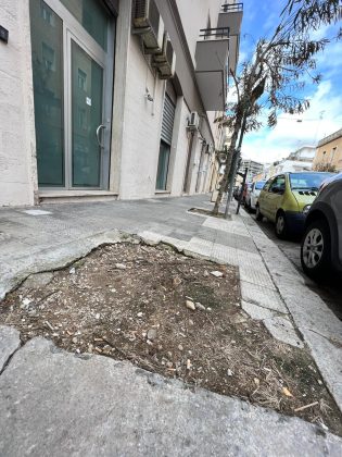 Il nuovo volto del quartiere San Lazzaro tra tutela del patrimonio storico, progresso e degrado. La parola a Stefano Ricercato - Corriere Salentino