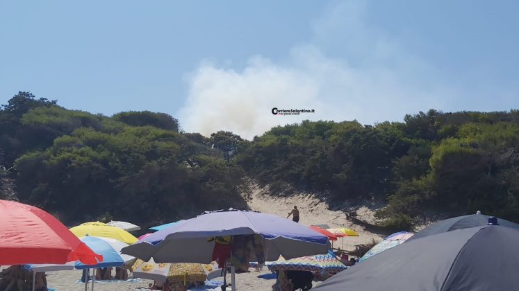 Fuoco nella pineta di Torre dell'Orso. Attimi di paura in spiaggia - Corriere Salentino