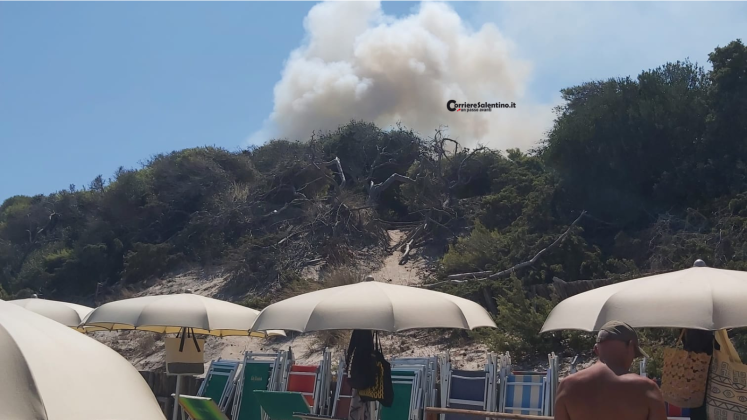 Fuoco nella pineta di Torre dell'Orso. Attimi di paura in spiaggia - Corriere Salentino