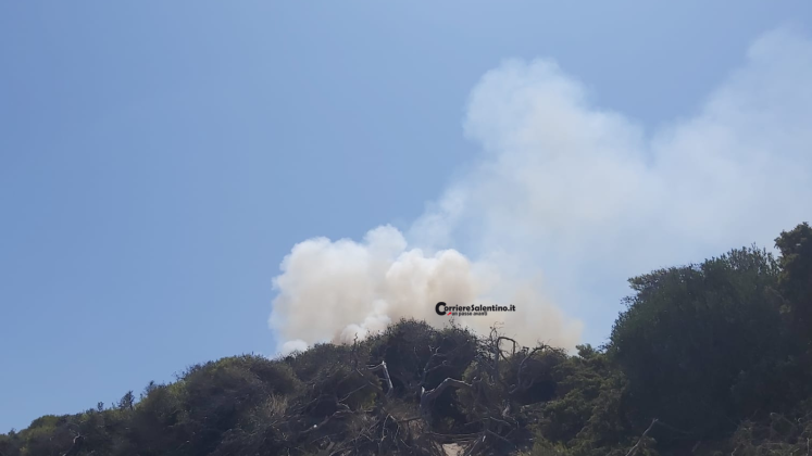 Fuoco nella pineta di Torre dell'Orso. Attimi di paura in spiaggia - Corriere Salentino