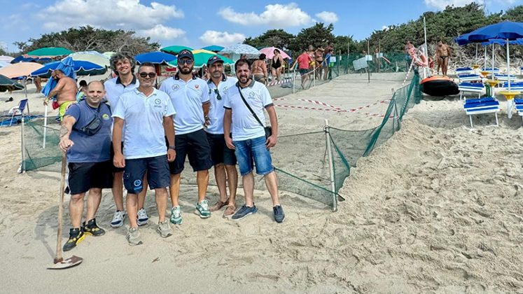La Caretta caretta torna a nidificare. Schiuse le prime quattro uova delle trenta salvate, iniziata la splendida corsa verso il mare - Corriere Salentino
