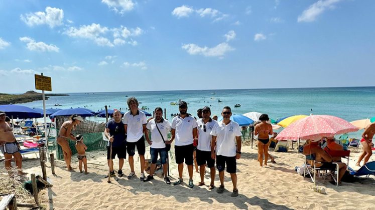 La Caretta caretta torna a nidificare. Schiuse le prime quattro uova delle trenta salvate, iniziata la splendida corsa verso il mare - Corriere Salentino