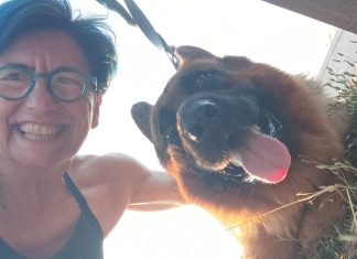 Premio Fedeltà del cane 2024, vince il pastore tedesco Giulio che salvò la sua padrona in mare a Lecce