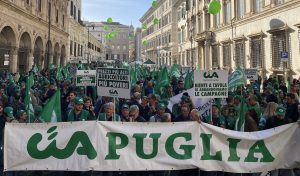 Cia Puglia: "Un miliardo per fermare la Xylella" - Corriere Salentino