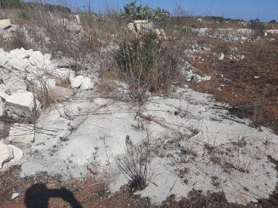 Dopo l'incendio, la scoperta della discarica abusiva: denunciato un imprenditore edile - Corriere Salentino