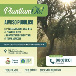 A Nardò riapre il bando “PiantamOli” per l’assegnazione gratuita di alberi di ulivo a chi ne farà richiesta. C’è tempo fino al 15 settembre - Corriere Salentino