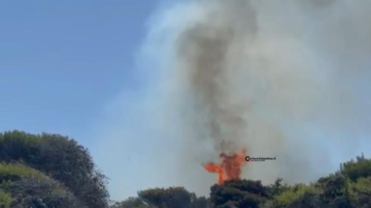 Fuoco nella pineta di Torre dell'Orso. Attimi di paura in spiaggia - Corriere Salentino