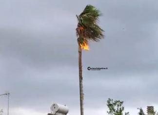 Altro giorno di maltempo, pericolo aquaplanning sulle statali. A Merine un fulmine incendia una palma