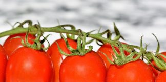 Home - Corriere Salentino