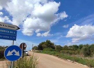 Cade in una scarpata mentre raccoglie funghi, anziano salvato dai vigili del fuoco e trasportato in ospedale