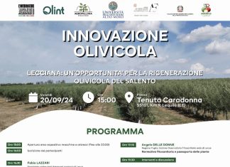 Convegno sulla innovazione olivicola. Esperti a confronto il 20 Settembre a Lequile