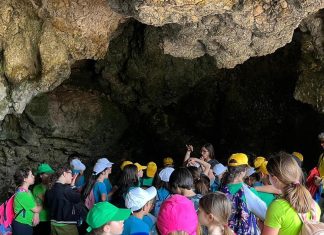 Le attività didattiche del Museo della Preistoria, il workshop di presentazione