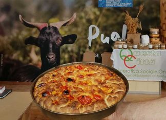 Terra Madre 2024: le 100 sfumature di verde della Puglia alla Salone del Gusto