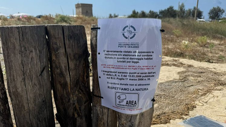Area Marina Protetta Porto Cesareo, distrutti i muretti a secco per arrivare più velocemente al mare - Corriere Salentino