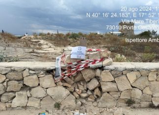 Porto Cesareo, inciviltà, beccati coloro che hanno distrutto i muretti per arrivare in spiaggia