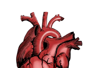 ASL Lecce: ATTR DAYS, 12 e 13 settembre a Lecce, convegno dedicato alla gestione della amiloidosi