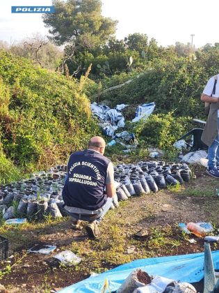 Blitz congiunto nel campo "Panareo": scoperti droga, piantagioni di erba e abusi edilizi - Corriere Salentino