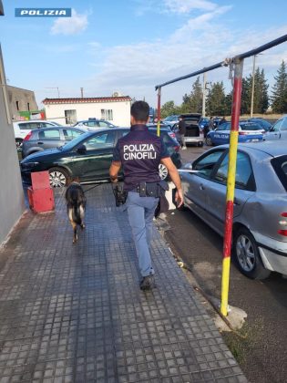 Blitz congiunto nel campo "Panareo": scoperti droga, piantagioni di erba e abusi edilizi - Corriere Salentino