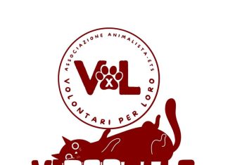 Un micio per amico: nasce a Nardò “Viperelle”, associazione a difesa degli animali, contro il randagismo felino