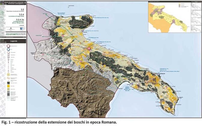 Convivenza con il lupo nel Salento: dalla Provincia piano di monitoraggio e vademecum - Corriere Salentino