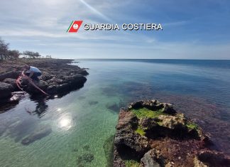 Pesca vietata di ricci, reti irregolari e prodotto ittico proibito: scattano sanzioni e sequestri