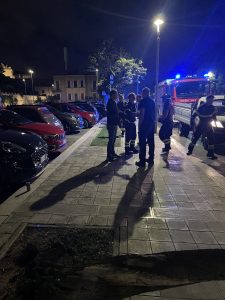 Crolla un albero in Viale dell’Università: il tronco tra il parcheggio e la strada - Corriere Salentino