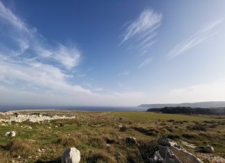 Orte, riconosciuto il diritto di passaggio: la proprietà ha arato i sentieri. Il Consiglio Comunale dà indirizzo a giunta ed uffici