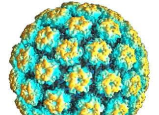 Guerra tra governo e Regione per la legge pugliese sulla prevenzione del papilloma virus, ma non avrebbe superato il vaglio del Garante della privacy