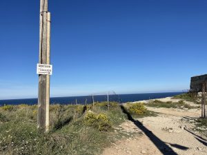 Reportage a Baia dell'Orte, percorso pubblico libero nel tesoro naturalistico, ma fruizione selvaggia. Auto ovunque. Ecco la via privata contestata - Corriere Salentino