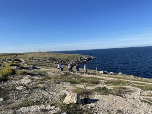 Reportage a Baia dell'Orte, percorso pubblico libero nel tesoro naturalistico, ma fruizione selvaggia. Auto ovunque. Ecco la via privata contestata - Corriere Salentino