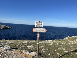 Reportage a Baia dell'Orte, percorso pubblico libero nel tesoro naturalistico, ma fruizione selvaggia. Auto ovunque. Ecco la via privata contestata - Corriere Salentino