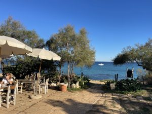 Reportage a Baia dell'Orte, percorso pubblico libero nel tesoro naturalistico, ma fruizione selvaggia. Auto ovunque. Ecco la via privata contestata - Corriere Salentino