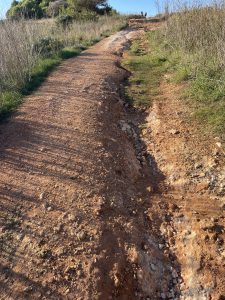 Reportage a Baia dell'Orte, percorso pubblico libero nel tesoro naturalistico, ma fruizione selvaggia. Auto ovunque. Ecco la via privata contestata - Corriere Salentino