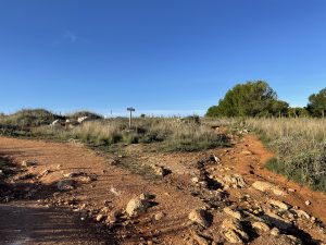 Reportage a Baia dell'Orte, percorso pubblico libero nel tesoro naturalistico, ma fruizione selvaggia. Auto ovunque. Ecco la via privata contestata - Corriere Salentino