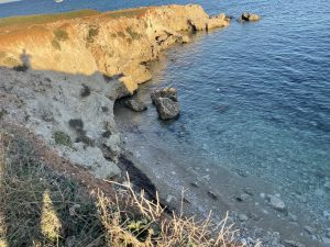 Reportage a Baia dell'Orte, percorso pubblico libero nel tesoro naturalistico, ma fruizione selvaggia. Auto ovunque. Ecco la via privata contestata - Corriere Salentino
