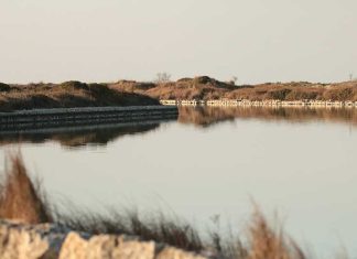 Il futuro della ricerca ambientale è qui: la Laguna di Acquatina e il DNA che svela la biodiversità