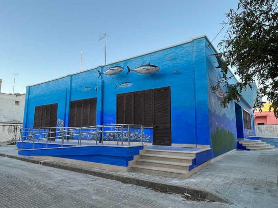 Lo storico Museo di biologia marina di Porto Cesareo cambia volto - Corriere Salentino