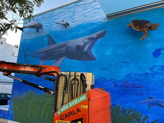 Lo storico Museo di biologia marina di Porto Cesareo cambia volto - Corriere Salentino