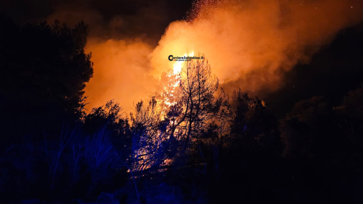 Fiamme nell'area protetta delle Cesine. Vigili del fuoco al lavoro per domare l'incendio - Corriere Salentino
