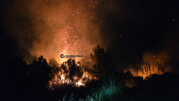 Fiamme nell'area protetta delle Cesine. Vigili del fuoco al lavoro per domare l'incendio - Corriere Salentino
