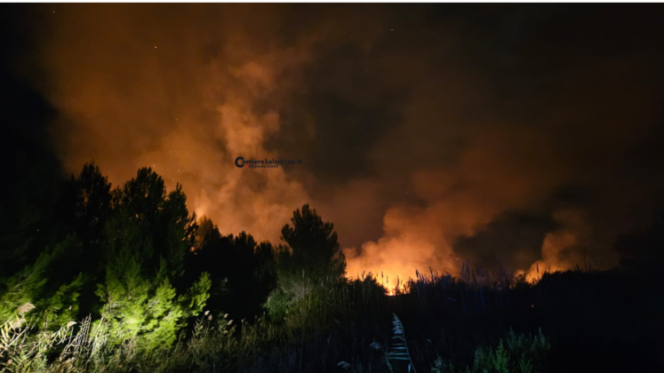 Fiamme nell'area protetta delle Cesine. Vigili del fuoco al lavoro per domare l'incendio - Corriere Salentino