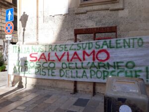 Giornata Nazionale dell’Albero: “La macchia e la foresta dell’Arneo ancora a rischio con il progetto di ampliamento delle piste NTC-Porsche” - Corriere Salentino