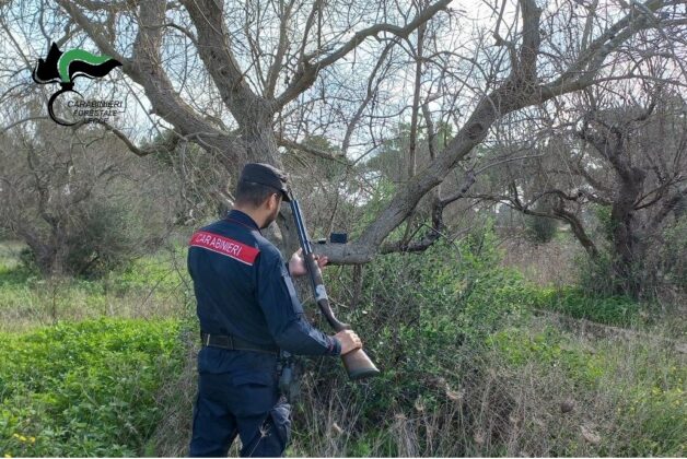 Artemis 2, lotta al bracconaggio nel Salento: sette cacciatori nei guai. Sequestrati fucili, richiami e munizioni - Corriere Salentino