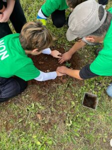 "Un bosco per Minervino": Provincia di Lecce e fondazione Sylva per un Salento più verde - Corriere Salentino