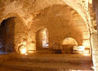 Le sue dita come stecchi di mandorlo. 7 – Rosina