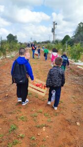 “Passeggiata tra i melograni”, un’iniziativa del Club Lions Lecce Santa Croce”: eccezionale esperienza formativa immersi in una natura incontaminata - Corriere Salentino