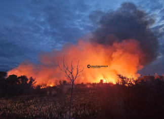 Fiamme nell’area protetta delle Cesine. Vigili del fuoco al lavoro per domare l’incendio