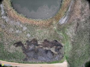 Incendio al chiaro d'acqua più grande di Torre Guaceto: si teme il dolo - Corriere Salentino