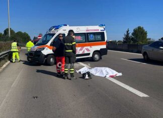 Tragico impatto in tangenziale: travolto da un furgoncino, uomo muore sul colpo