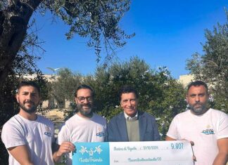 Caretta caretta, l’attenzione concreta di Vivosa e del CRTM